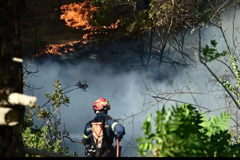 atinada buyuk orman yangini BFi3OGkZ