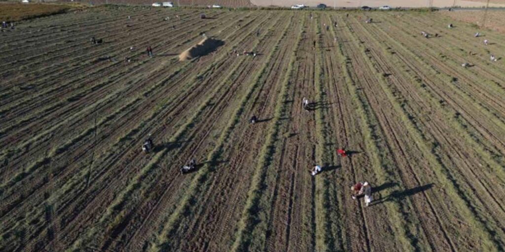 ciftcilerin borcu 1 trilyonu asti gelecek yillari on goremiyorlar 8rNRsf9Y