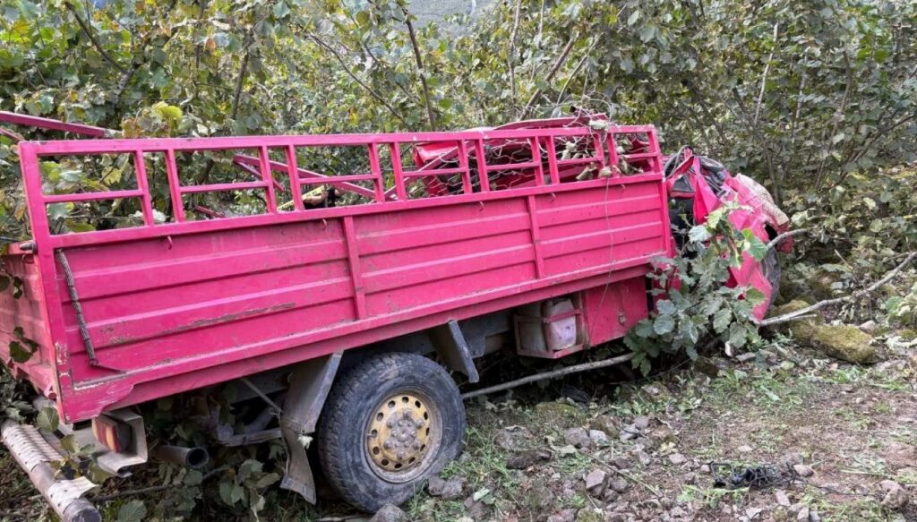 İşçileri taşıyan kamyonet şarampole yuvarlandı: 4 ölü, 1 yaralı