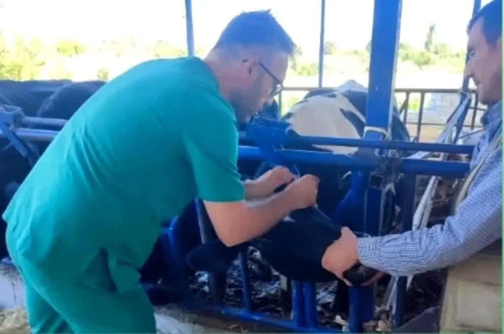 aydinda sap hastaligina karsi asi uyarisi CLfakIJW