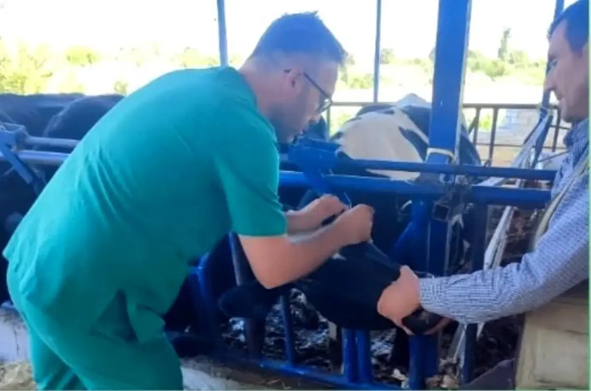 aydinda sap hastaligina karsi asi uyarisi CLfakIJW