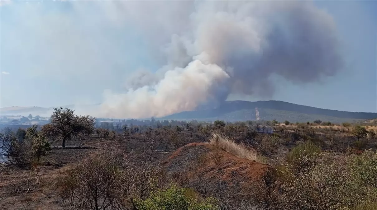 geliboluda tarim arazisinde yangin GpBCDlbG