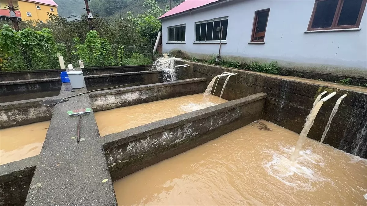 giresunda saganak heyelanlar ve su baskinlari tvylKWXI
