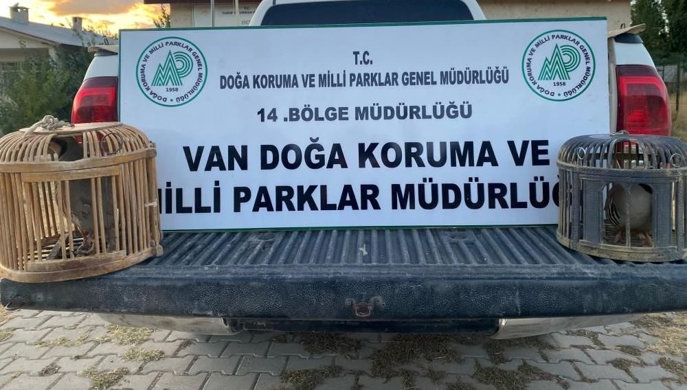 kacak keklik avlayan kisiye 48 bin lira ceza k5I978Fn