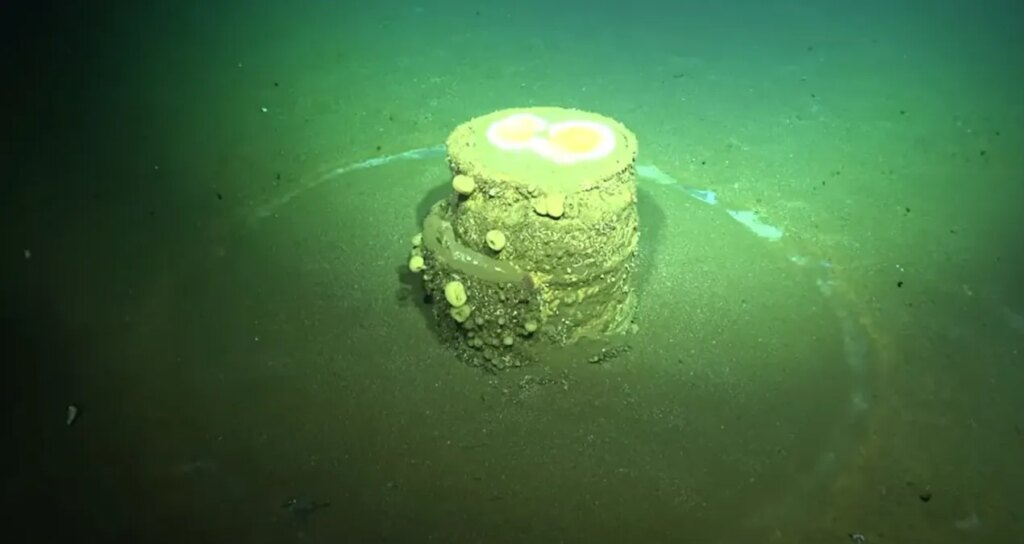 okyanus tabanindaki gizemli halkalar zehirli sirri aciga cikardi xztBlvVA