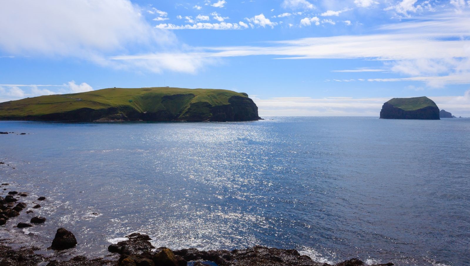 60 yil once dogan ada tabiatin kendini nasil onardiginin kaniti oldu ck9hzkli.jpg