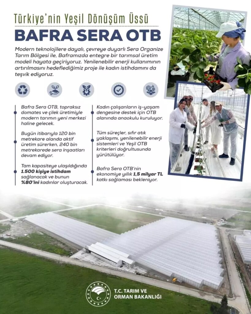 bafra sera organize tarim bolgesi projesi kadin istihdami ve ekonomik katki jORylQr5.jpg