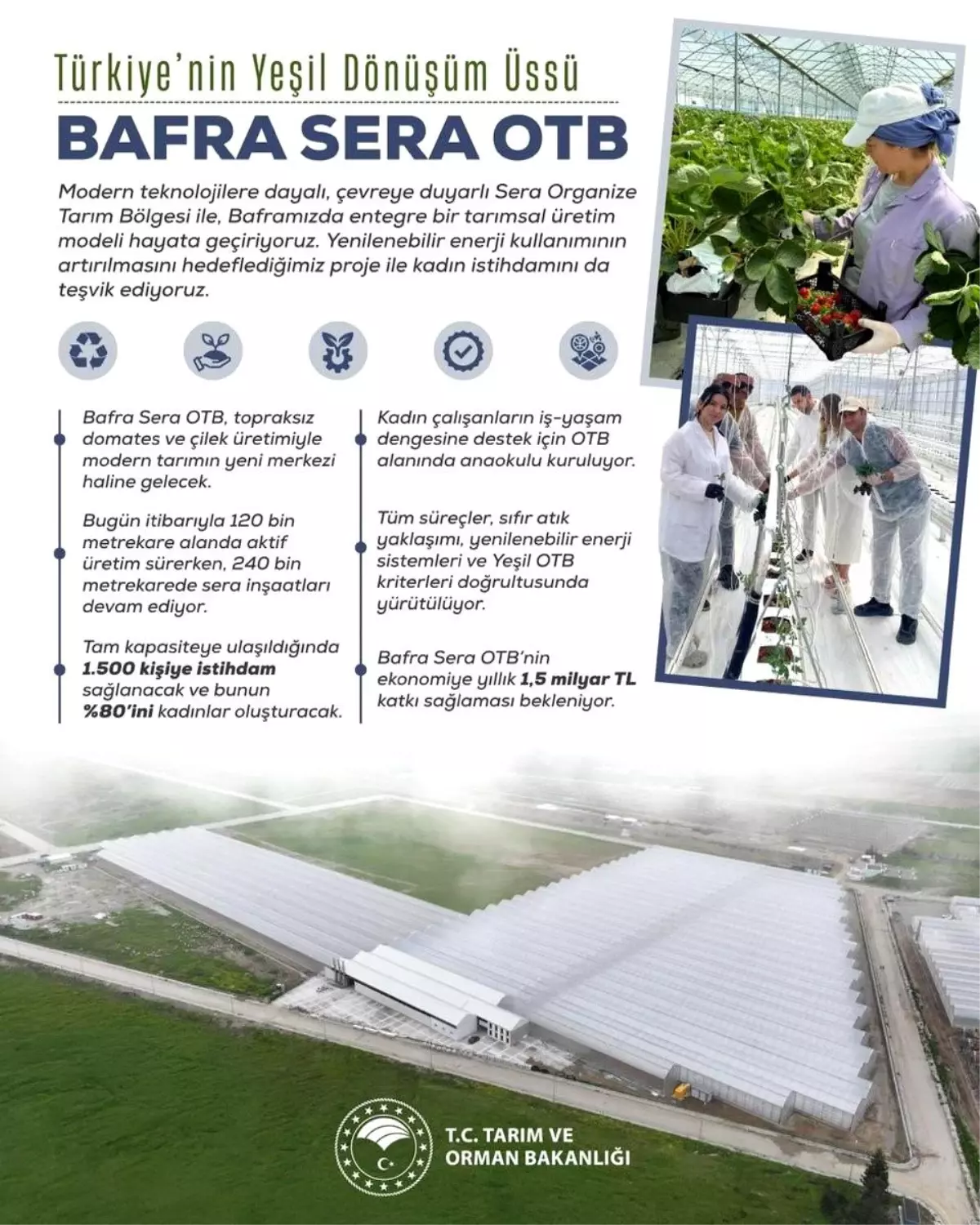 bafra sera organize tarim bolgesi projesi kadin istihdami ve ekonomik katki jORylQr5.jpg