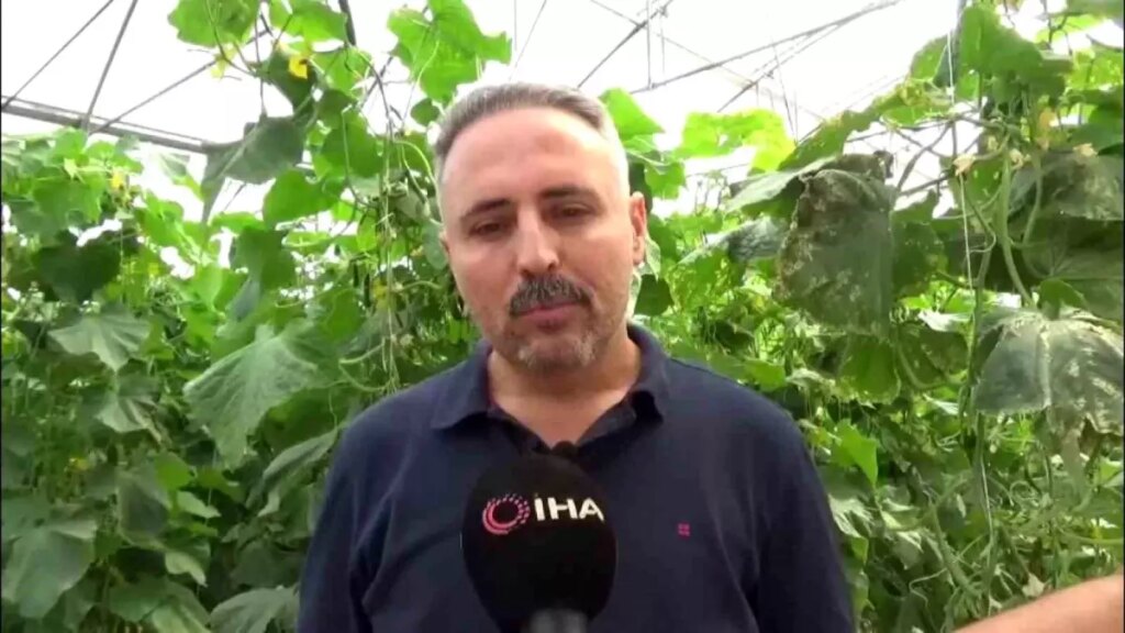 Diyarbakır’da Salatalık Serası Kuruluyor, 20 Kişiye İstihdam Sağlanıyor