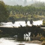 focayi sel vurdu araciyla suruklenen 70 yasindaki kaptanogluna hala ulasilamadi izmir valisi aciklama yapti awfqtaqe.jpg