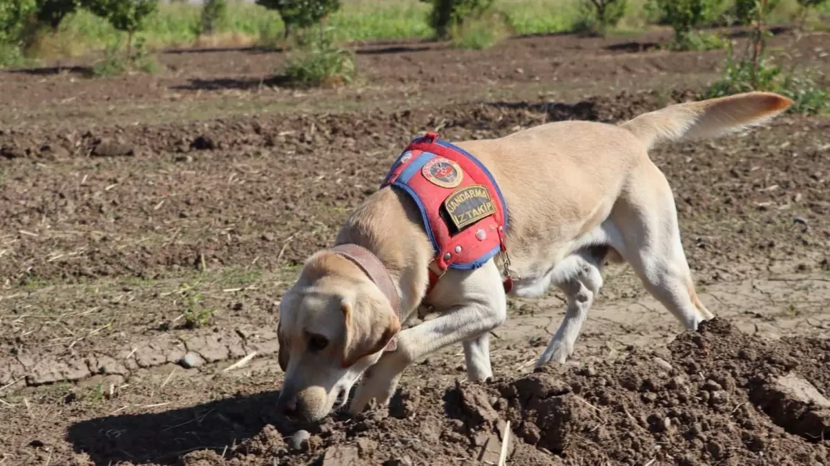kayip alzheimer hastasi icin arama calismalari suruyor YxeLZkQV.jpg