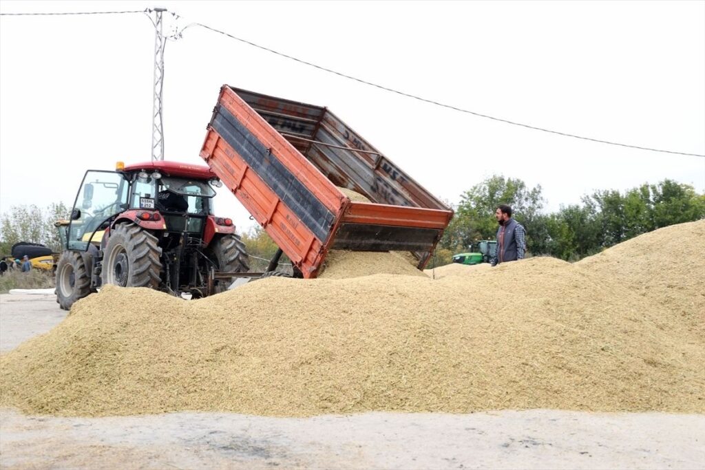 “Türkiye’nin çeltik ambarı” mesaisi Trakya’da tamamlandı