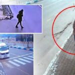 gulistanin olume giden son iki gunu ozel ekip saniye saniye izliyor Qv7MMZaJ.jpg