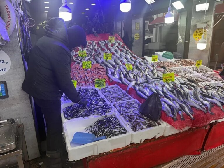 samsunda-hamsi-fiyatlari-130-150-lira-OqBkKUiu.jpg