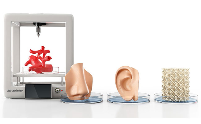 Doku Mühendisliği ve 3D Biyoyazıcı Teknolojileri