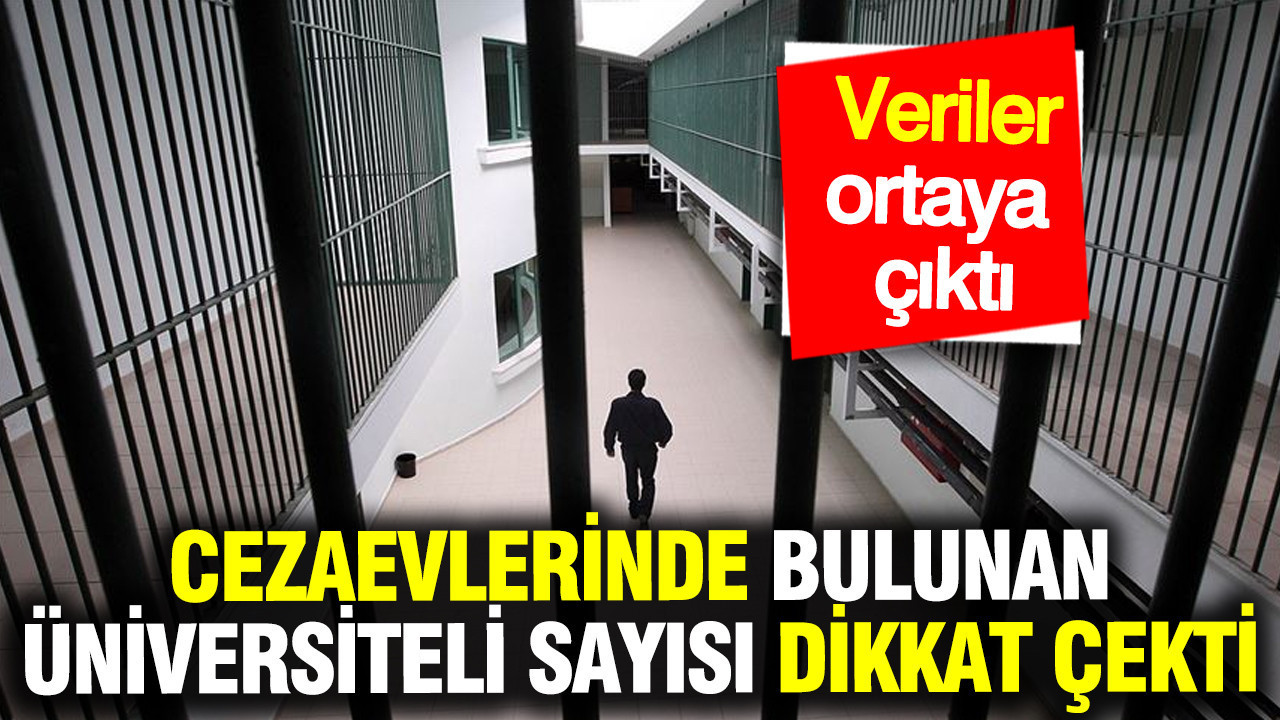 cezaevlerinde-25-binden-fazla-universite-mezunu-bulunuyor-xT3NvEiJ
