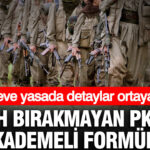 Silah birakmayan pkkya kademeli formul cerceve yasada detaylar ortaya cikti z9mVDXbk