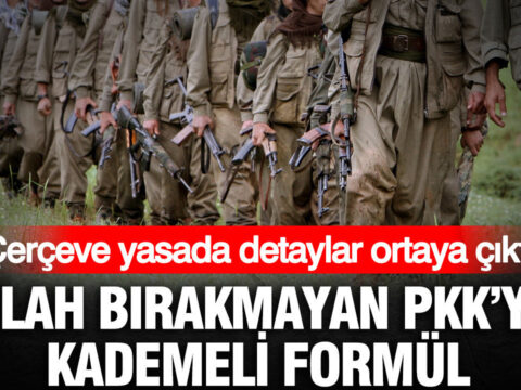 Silah birakmayan pkkya kademeli formul cerceve yasada detaylar ortaya cikti z9mVDXbk